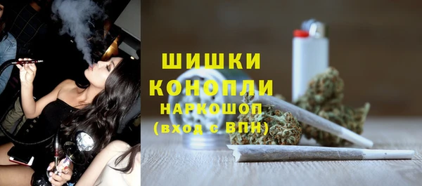 Альфа ПВП Лагань