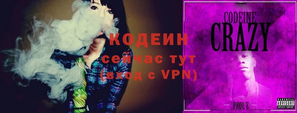 Альфа ПВП Лагань