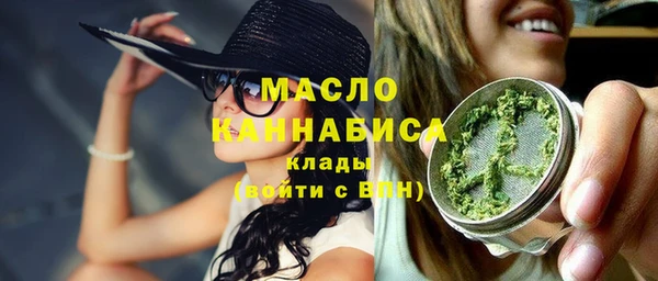 Альфа ПВП Лагань