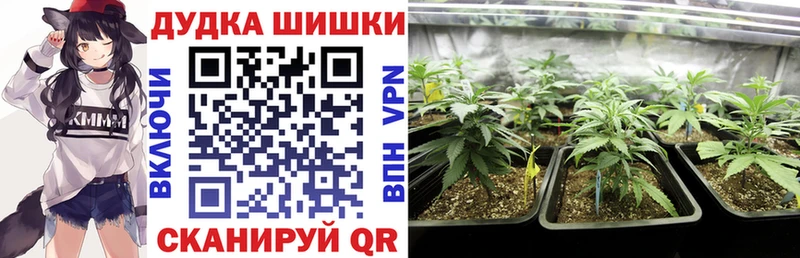 KRAKEN рабочий сайт  Верещагино  Бошки марихуана OG Kush 
